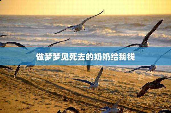 做梦梦见死去的奶奶给我钱