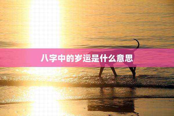 八字中的岁运是什么意思