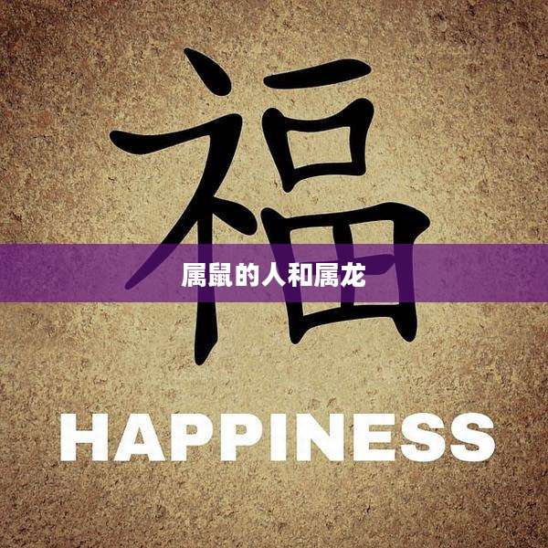 属鼠的人和属龙
