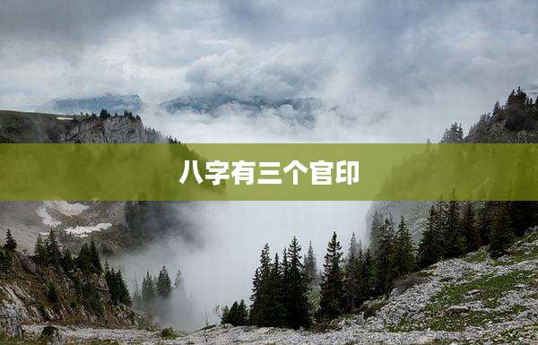 八字有三个官印