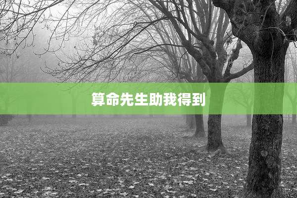 算命先生助我得到