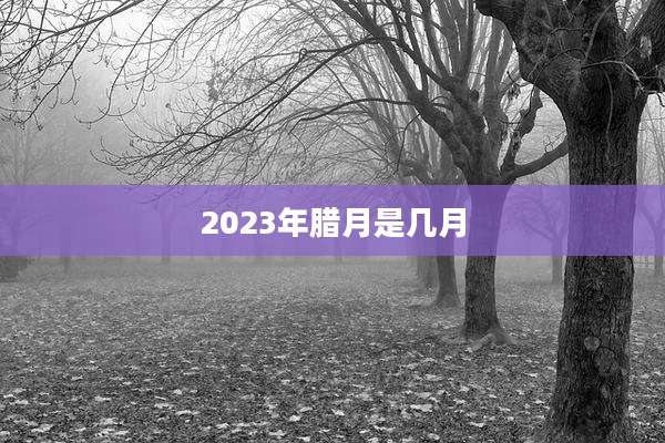 2023年腊月是几月