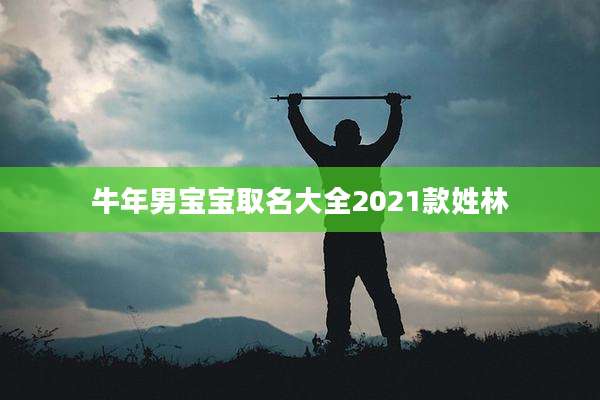 牛年男宝宝取名大全2021款姓林