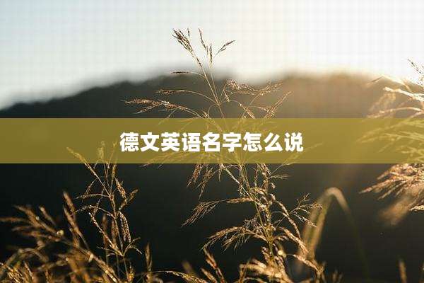 德文英语名字怎么说