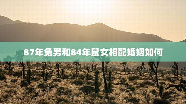 87年兔男和84年鼠女相配婚姻如何