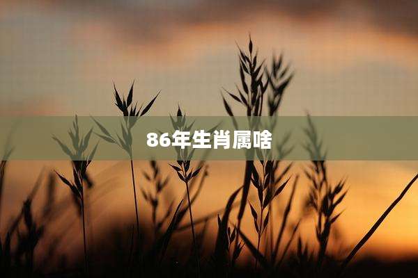 86年生肖属啥