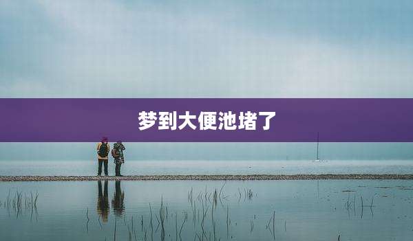 梦到大便池堵了