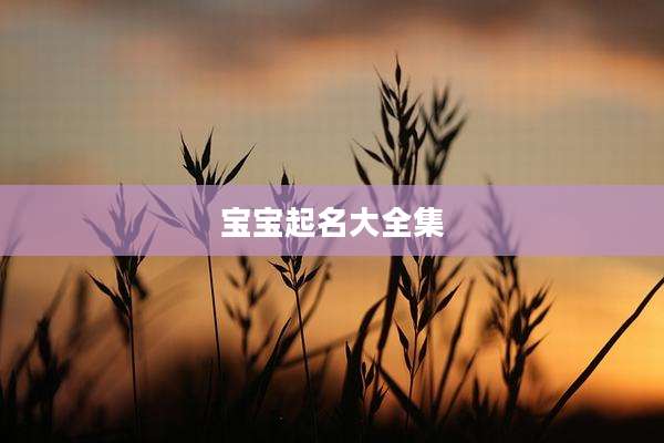 宝宝起名大全集