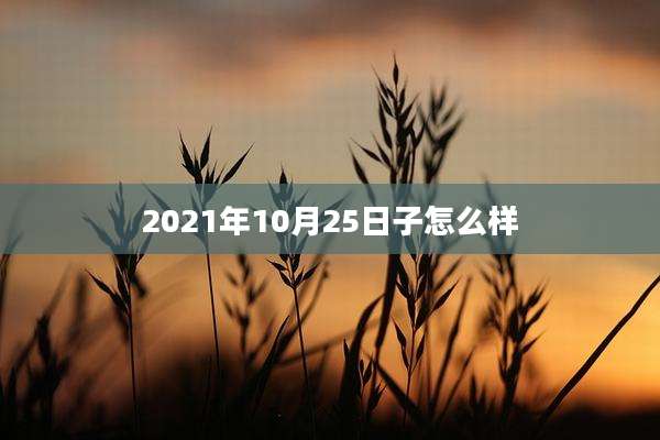 2021年10月25日子怎么样