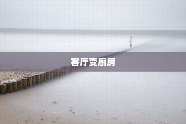 客厅变厨房