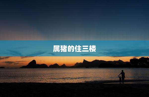 属猪的住三楼