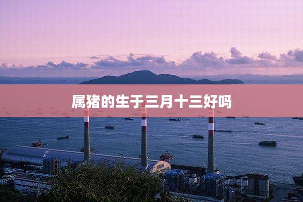 属猪的生于三月十三好吗