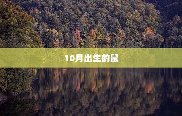 10月出生的鼠