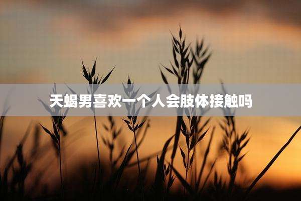 天蝎男喜欢一个人会肢体接触吗