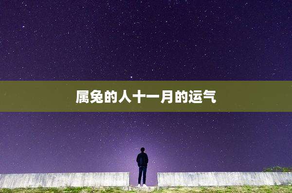 属兔的人十一月的运气