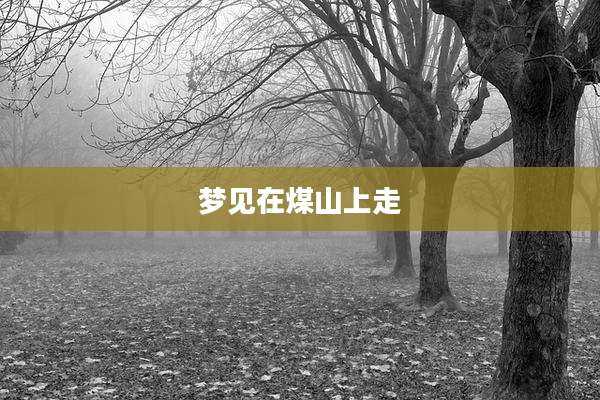 梦见在煤山上走