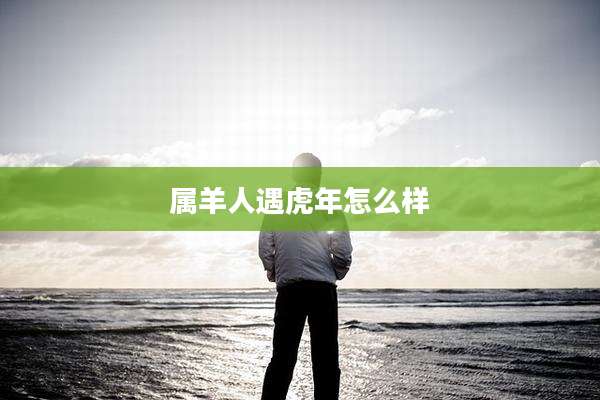 属羊人遇虎年怎么样