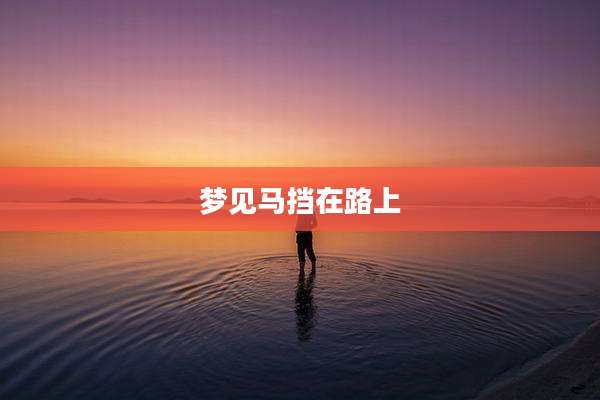 梦见马挡在路上