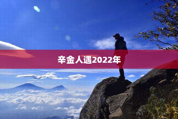 辛金人遇2022年