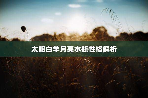 太阳白羊月亮水瓶性格解析