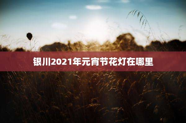 银川2021年元宵节花灯在哪里