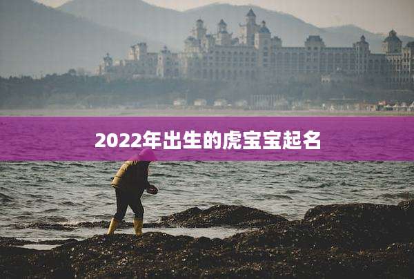 2022年出生的虎宝宝起名