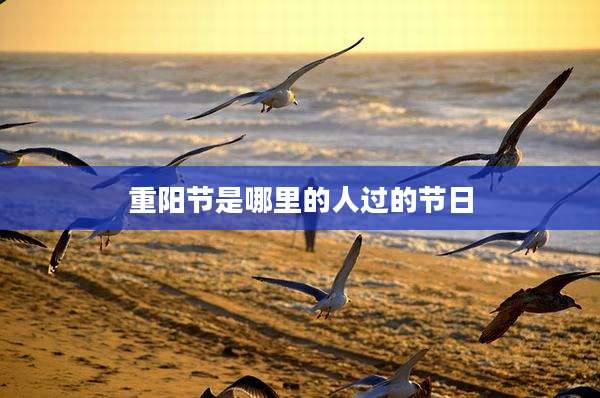 重阳节是哪里的人过的节日