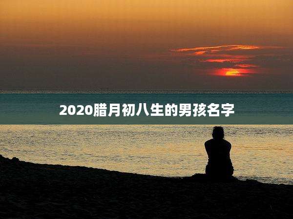 2020腊月初八生的男孩名字