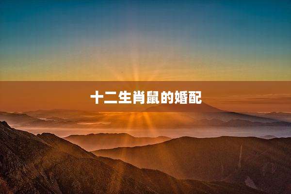 十二生肖鼠的婚配