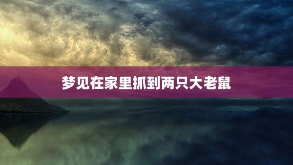 梦见在家里抓到两只大老鼠