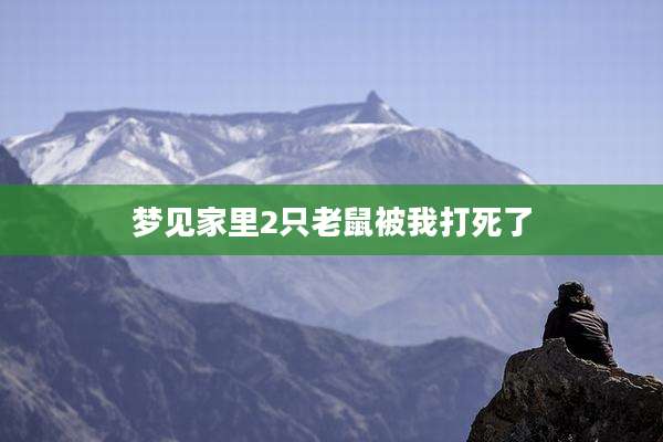 梦见家里2只老鼠被我打死了