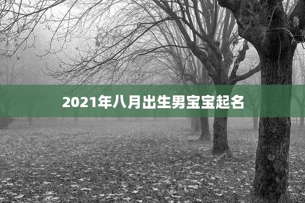 2021年八月出生男宝宝起名