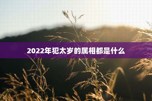 2022年犯太岁的属相都是什么