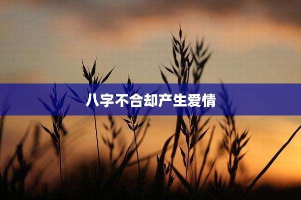 八字不合却产生爱情