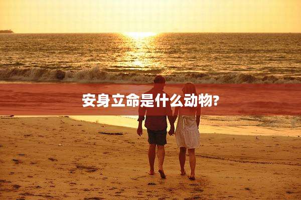 安身立命是什么动物?