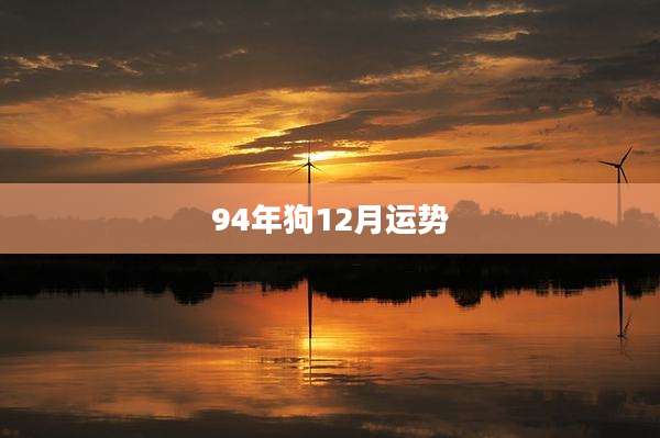 94年狗12月运势
