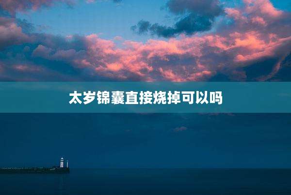 太岁锦囊直接烧掉可以吗