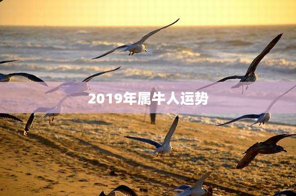 2019年属牛人运势