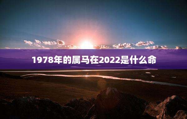1978年的属马在2022是什么命