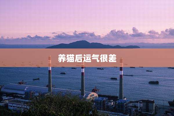 养猫后运气很差