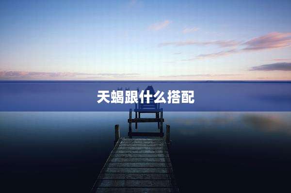 天蝎跟什么搭配
