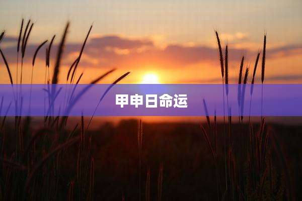 甲申日命运