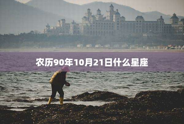 农历90年10月21日什么星座