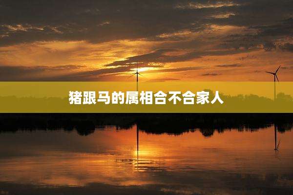 猪跟马的属相合不合家人