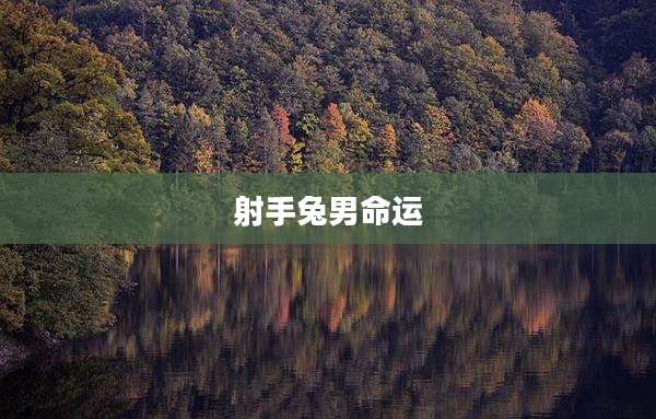 射手兔男命运