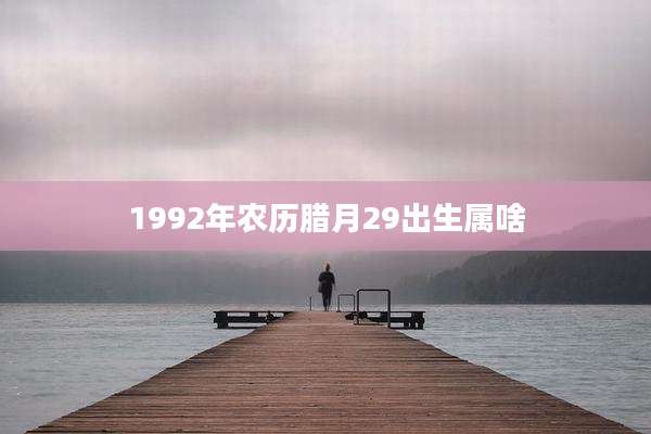 1992年农历腊月29出生属啥