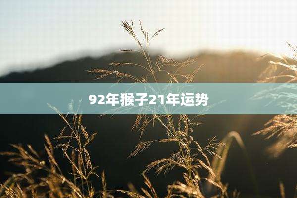 92年猴子21年运势