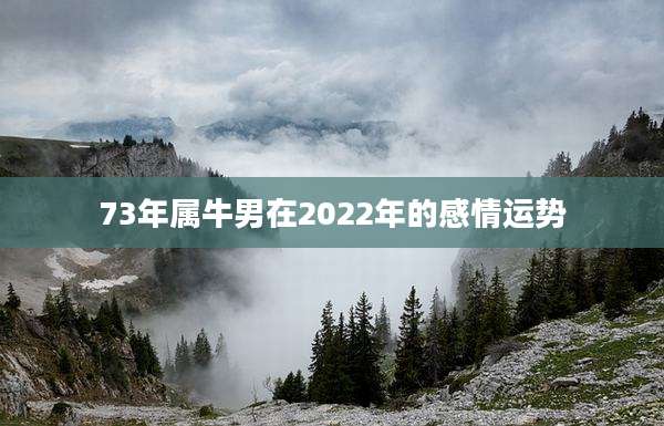 73年属牛男在2022年的感情运势