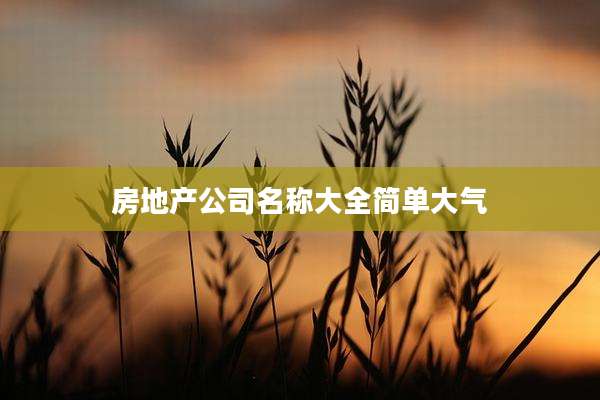 房地产公司名称大全简单大气