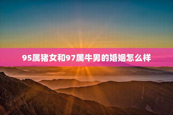 95属猪女和97属牛男的婚姻怎么样